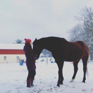 Meet your Posher, AnnaLisa